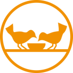 bank zywnosci logo